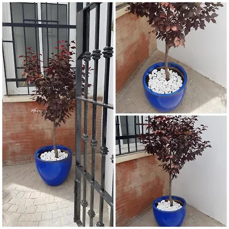 With 3 Bedrooms In With Wonderful Mountain View Furnished Terrace And Wifi 3 Km From The Beach Appartement