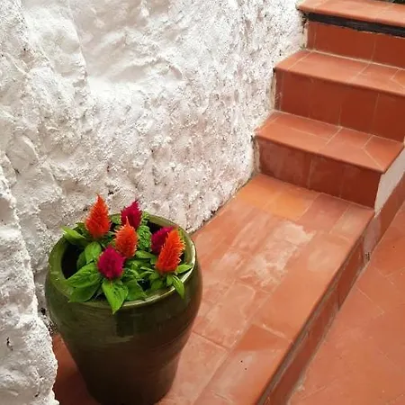 With 3 Bedrooms In With Wonderful Mountain View Furnished Terrace And Wifi 3 Km From The Beach Appartement *